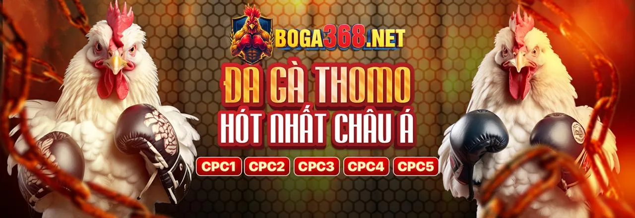 Đấu trường đá gà kịch tính tại hot51 chính thức